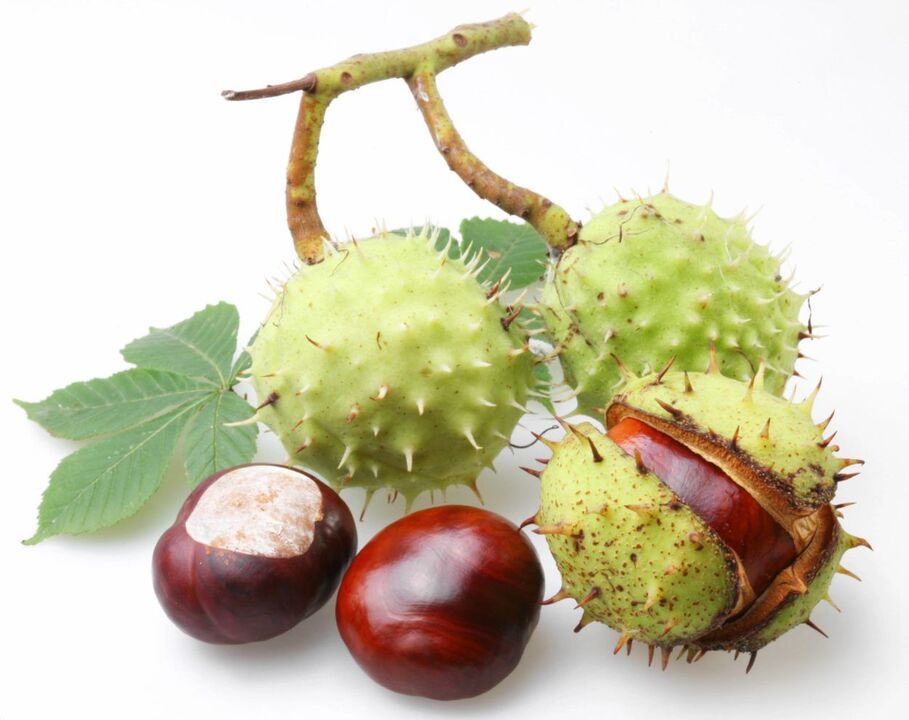 casca de castanha para tratamento de prostatite